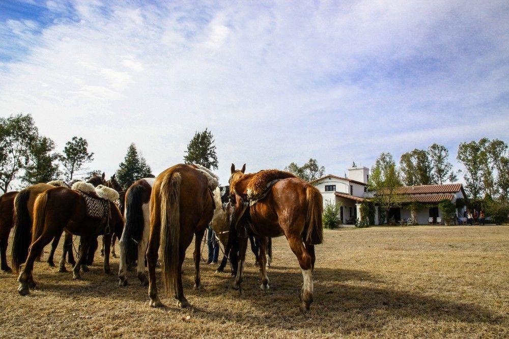 Finca Valentina El Encón Dış mekan fotoğraf